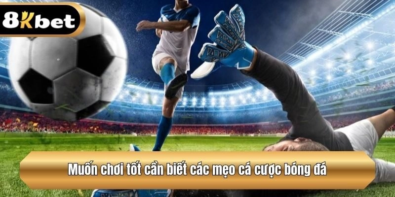 Muốn chơi tốt cần biết các mẹo cá cược bóng đá