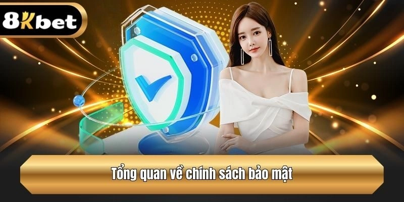 Tổng quan về chính sách bảo mật